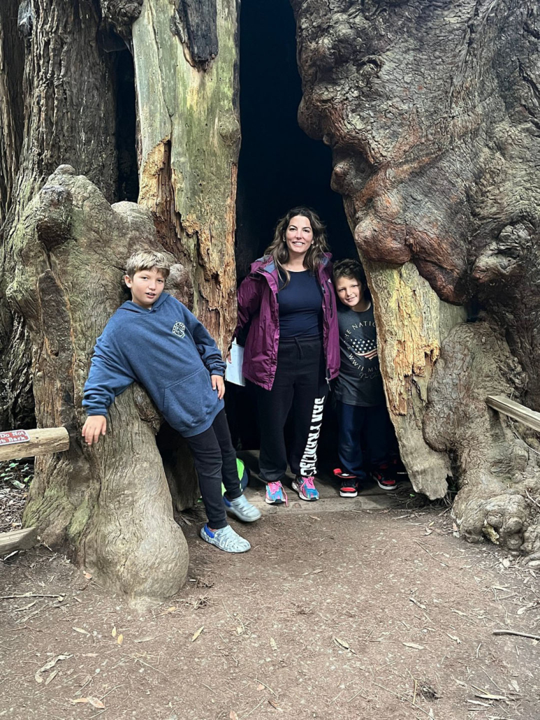 calitrips_giant-sequoia-tree-entrance Calitrips Giant Sequoia Tree Entrance