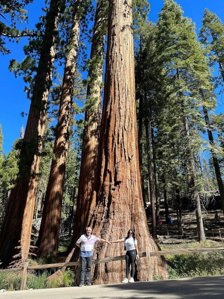 calitrips_giant-sequoias-people-fence Calitrips Giant Sequoias People Fence