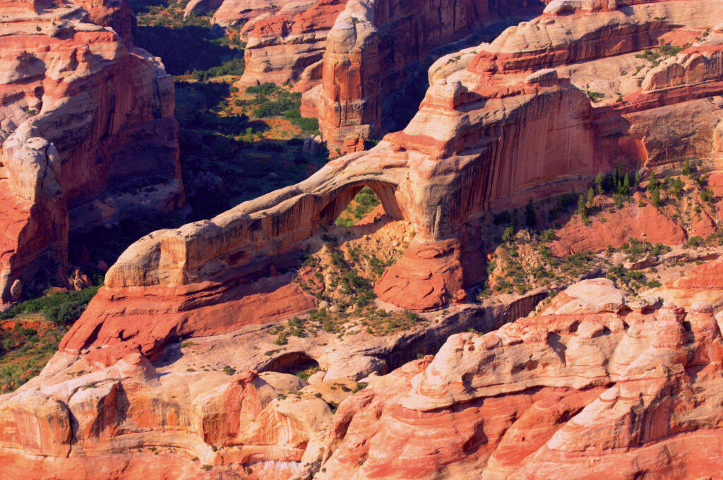 Aerial view of a natural arch surrounded by red rock formations. Canyonlandsbynight Canyonlands Arch Red Rocks