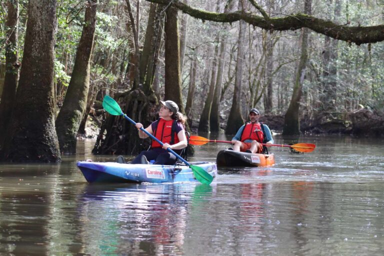 Cedar Creek Kayak Adventure — Congaree
