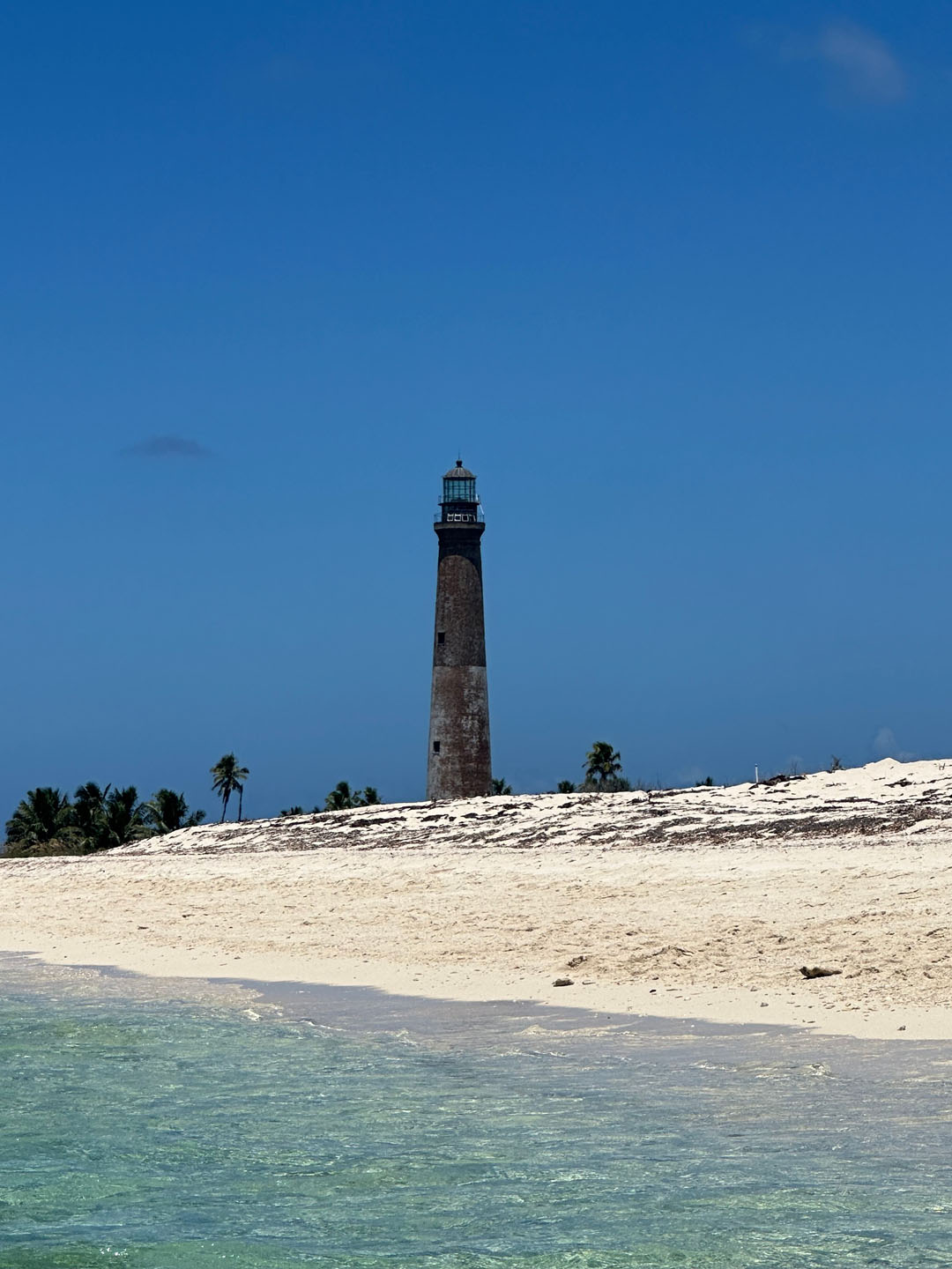 Dry Tortugas Public Charter — Dry Tortugas Conchnaround Lighthouse Sandy Beach Clear Water