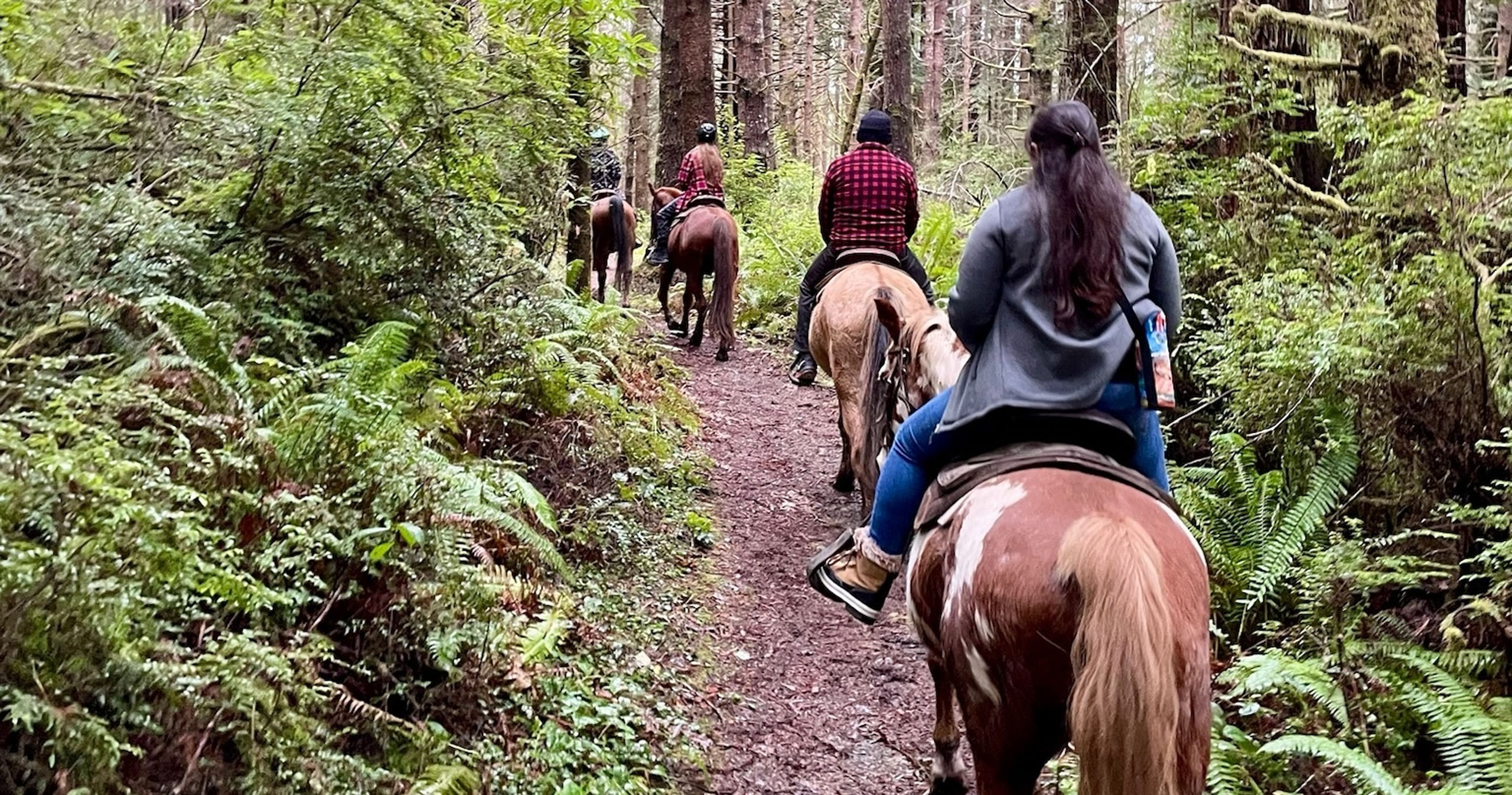 crescenttrailrides_horseback-ride-redwood-forest Crescenttrailrides Horseback Ride Redwood Forest