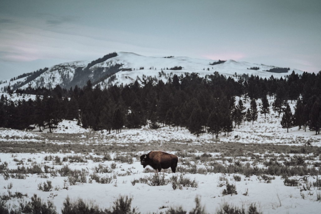 dave-herring-cop0TDZWG5Q-unsplash-scaled Dave Herring CopTDZWGQ Unsplash Scaled