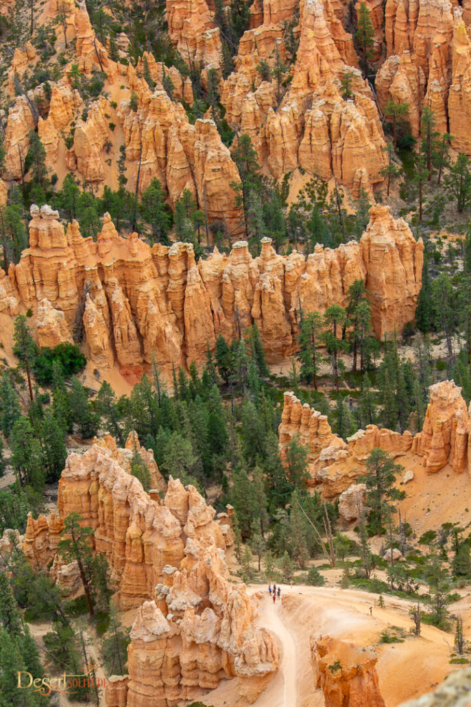 Scenic view of Bryce Canyon hoodoos with hikers on a trail Desert Solitude  Day Bryce Canyon Capitol Reef Goblin Valley Canyon Hoodoos Geology