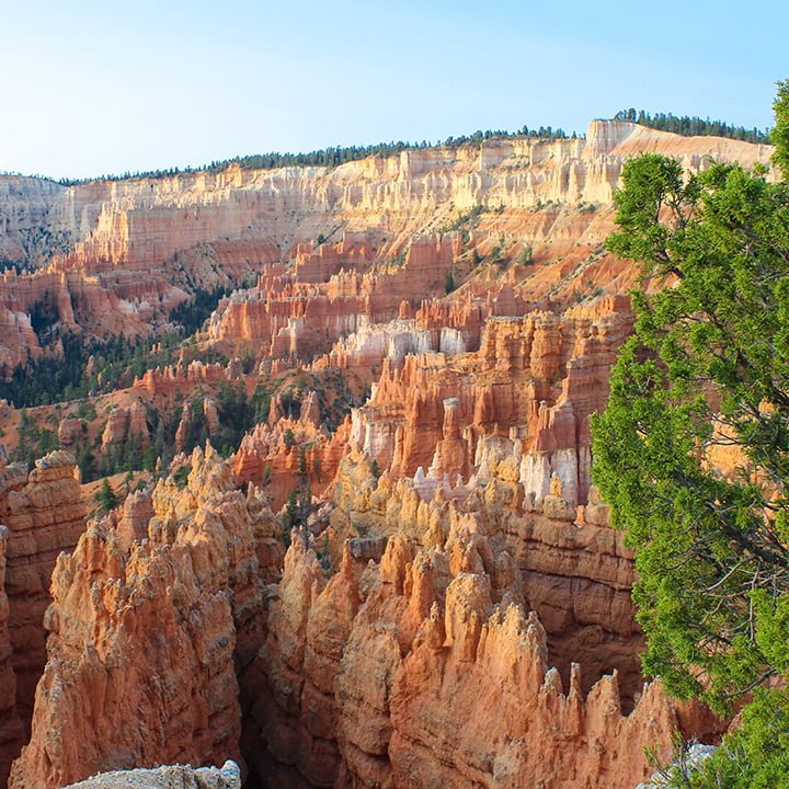 Scenic view of Bryce Canyon with rock formations Desert Solitude  Day Bryce Canyon Capitol Reef Goblin Valley Canyon Rocks Landscape