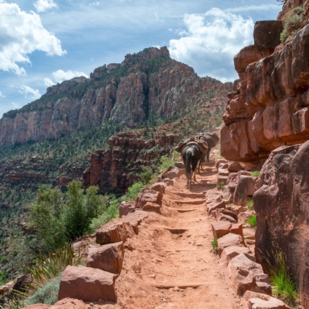 Discoverytreks Scenic View Of Desert Landscapes