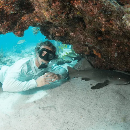 Diveyoung Snorkeler Coral Reef Shark