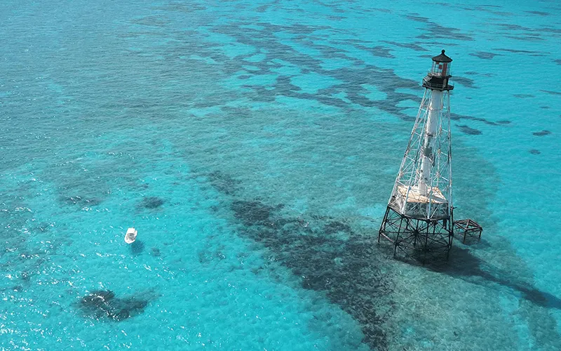 Diveyoung Spearfishing Fishing Scuba Charters Alligator Reef Islamorada Fl