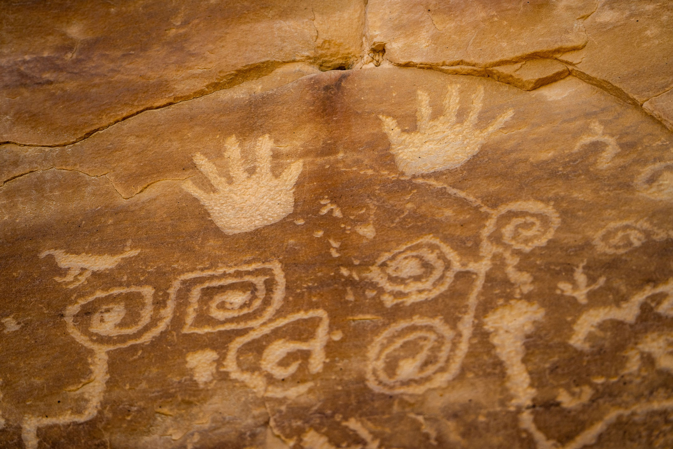 PRIVATE ~ Ultimate Mesa Verde Experience National Park Tour — Mesa Verde Durangorivertrippers Ancient Hand Petroglyphs Mesa Verde