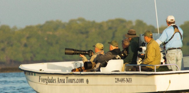 birdwatchers, on, a, boat, capturing, beauty Everglades Boattours Birdwatchers On A Boat Capturing