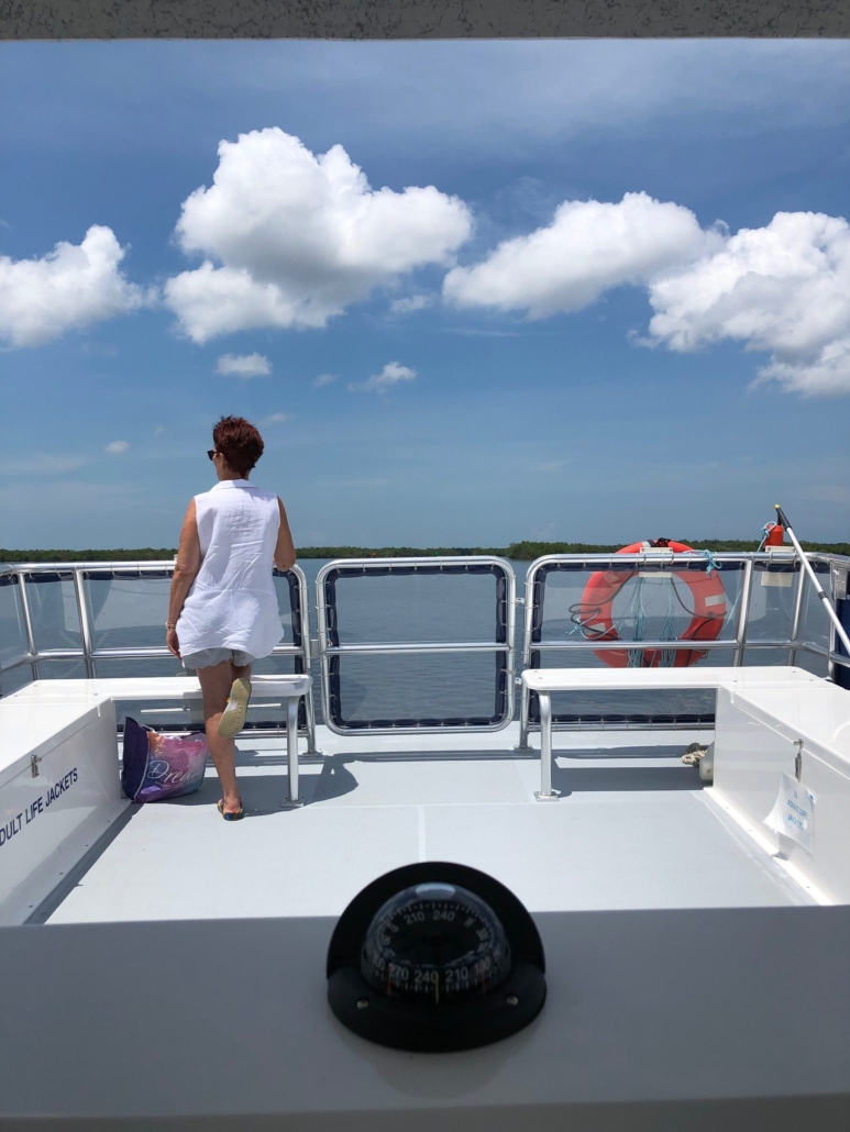evergladesfloridaadventures_View-from-Stern Evergladesfloridaadventures View From Stern