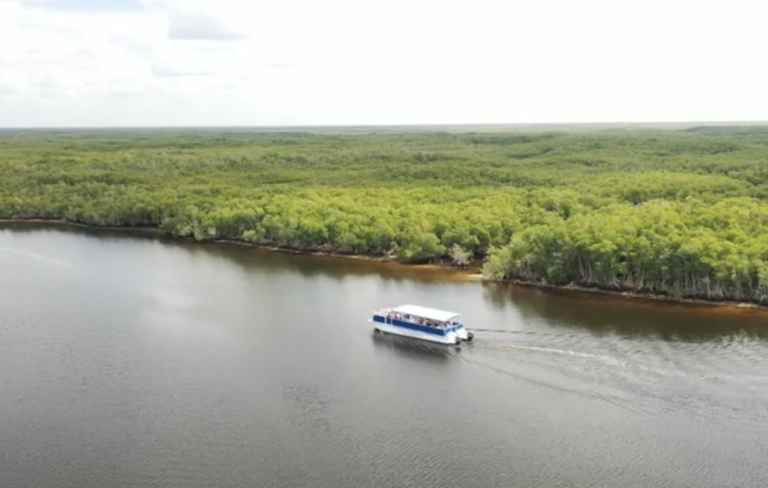 evergladesfloridaadventures_boat-cruising-everglades Evergladesfloridaadventures Boat Cruising Everglades
