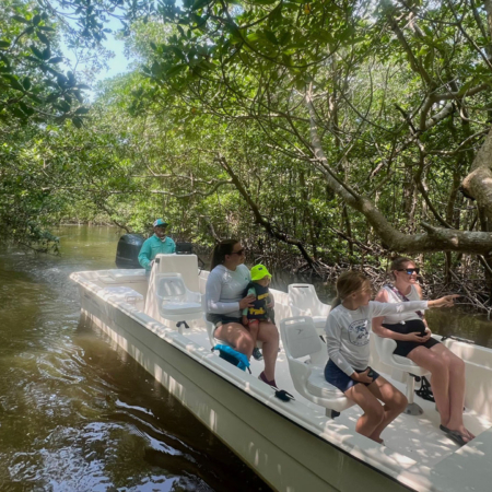 Evergladesfloridaadventures Mangrove