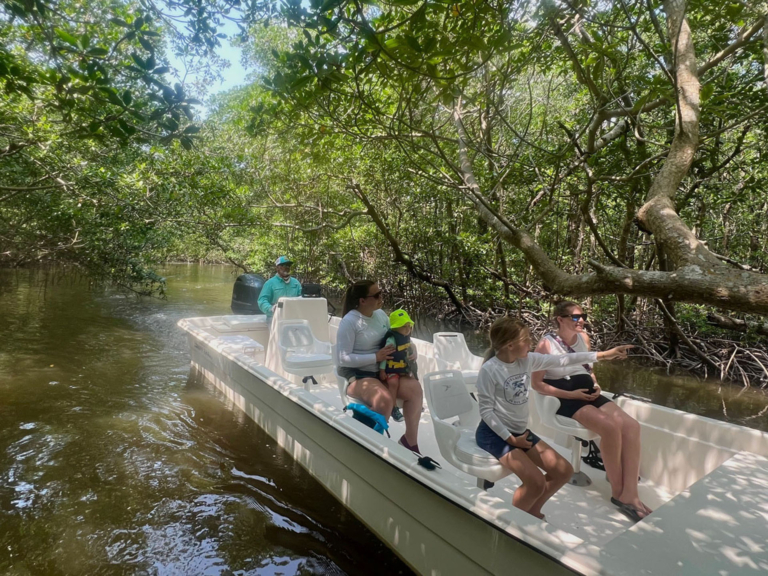 Evergladesfloridaadventures Mangrove 