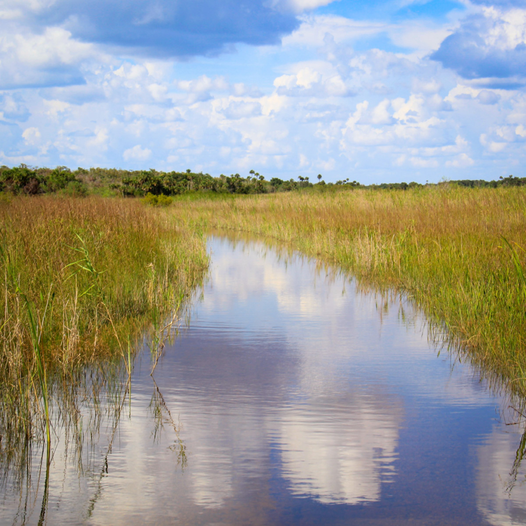 A narrow waterway reflects clouds and surrounding grasslands. Evergladesnationalparkadventures Everglades Reflection Grassy Waterway