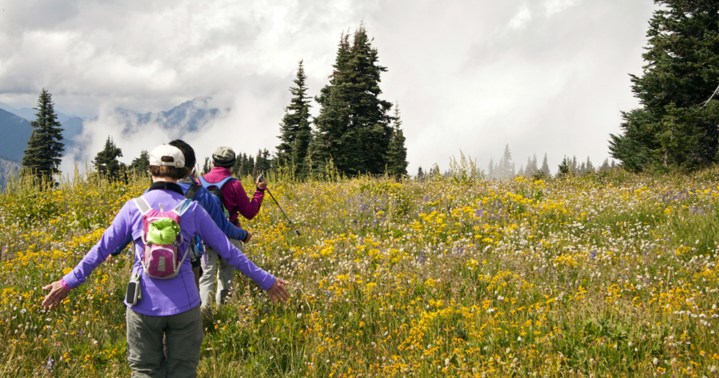 evergreenescapes-seattle_hikers-walking-flower-filled-meadow Evergreenescapes Seattle Hikers Walking Flower Filled Meadow