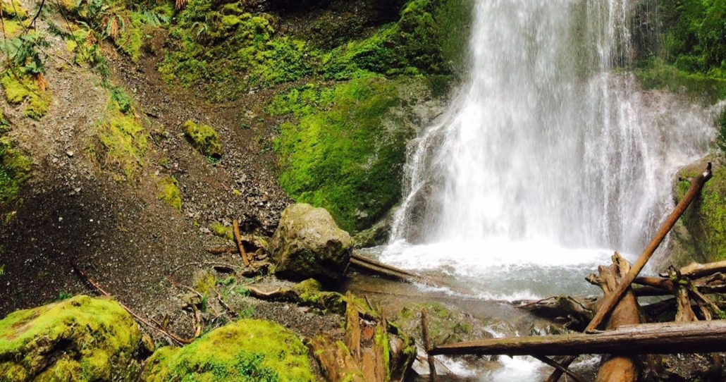 evergreenescapes-seattle_mossy-rocks-waterfall-olympic-park Evergreenescapes Seattle Mossy Rocks Waterfall Olympic Park