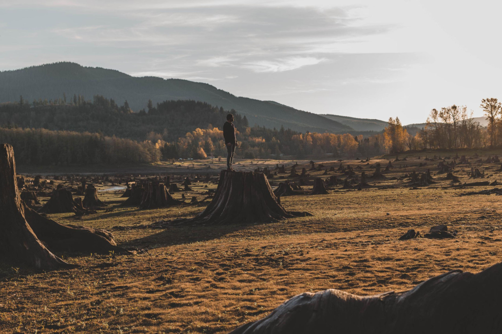 evergreenescapes-seattle_stumps-sunset-mount-rainier Evergreenescapes Seattle Stumps Sunset Mount Rainier