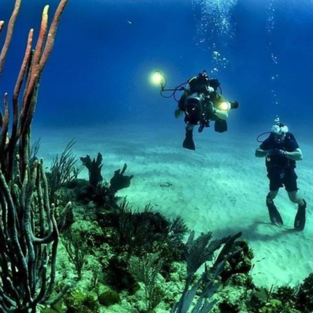 Finzdivecenter Divers Exploring Coral Reef