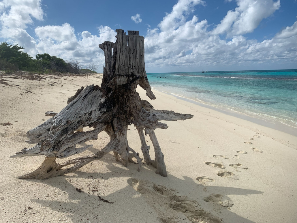 finzdivecenter_driftwood-beach-dry-tortugas Finzdivecenter Driftwood Beach Dry Tortugas