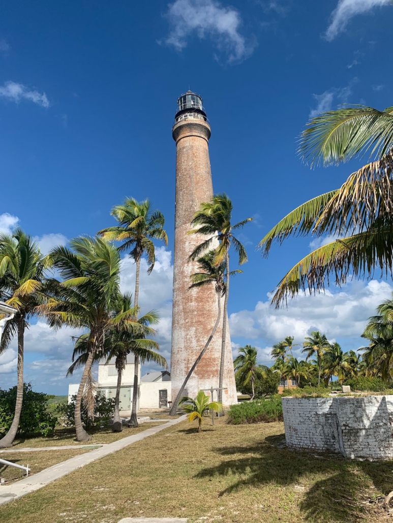 finzdivecenter_dry-tortugas-lighthouse-palm-trees Finzdivecenter Dry Tortugas Lighthouse Palm Trees