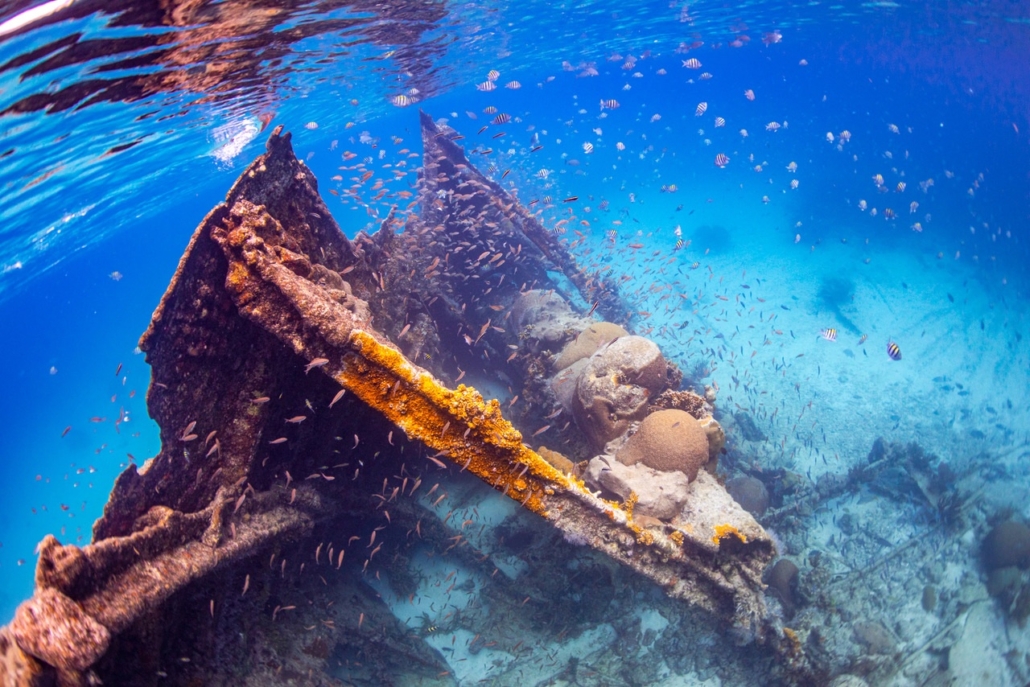 finzdivecenter_sunken-shipwreck-coral-reef Finzdivecenter Sunken Shipwreck Coral Reef