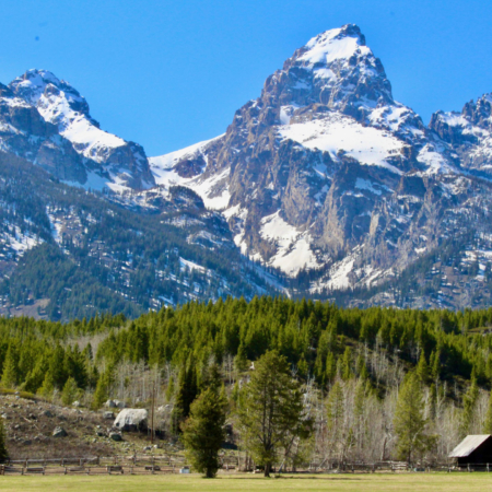 Fishinginyellowstone Snow Capped Peaks Green Forest