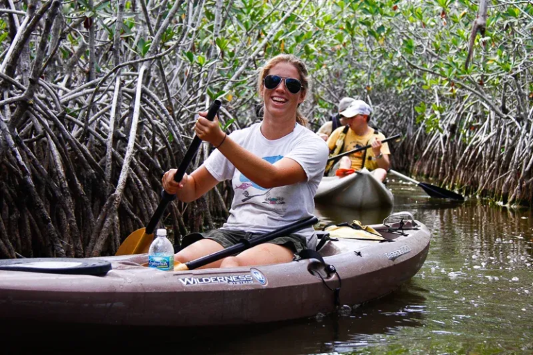gck_kayaker-mangroves-everglades Gck Kayaker Mangroves Everglades