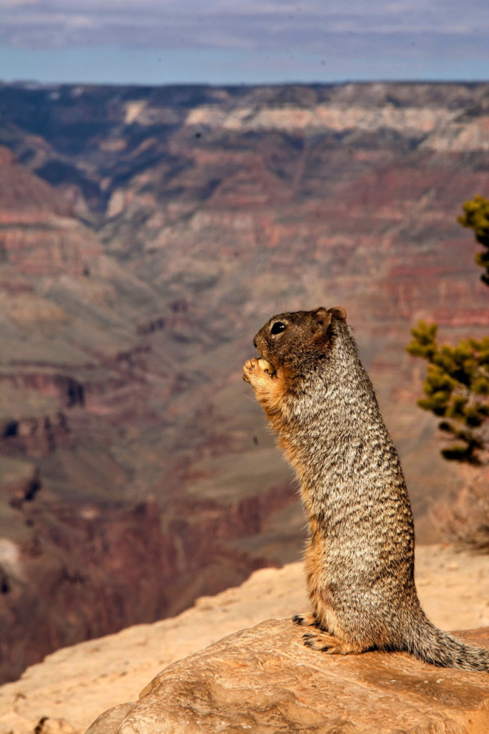 gctouring-grand-canyon-5139805-EDIT Gctouring Grand Canyon EDIT