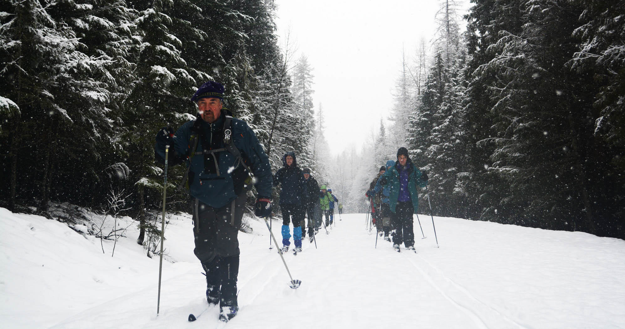 Cross Country Skiing — Glacier Glacieradventureguides Cross Country Skiers Snowy Forest Glacier