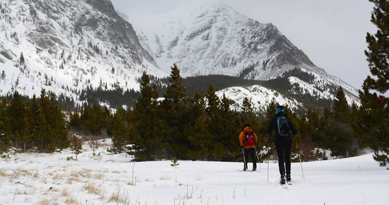 Cross Country Skiing — Glacier Glacieradventureguides Skiers Mountains Snowy Forest