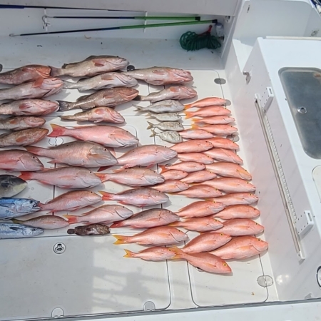 Hillbillyhookers Lots Of Fish On Boat