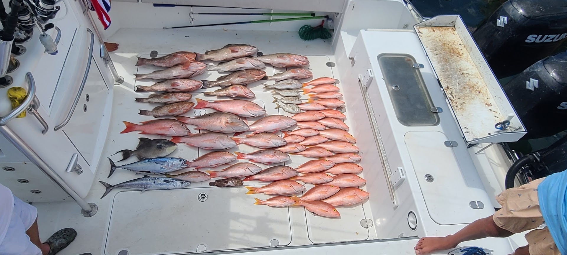 hillbillyhookers_lots-of-fish-on-boat Hillbillyhookers Lots Of Fish On Boat