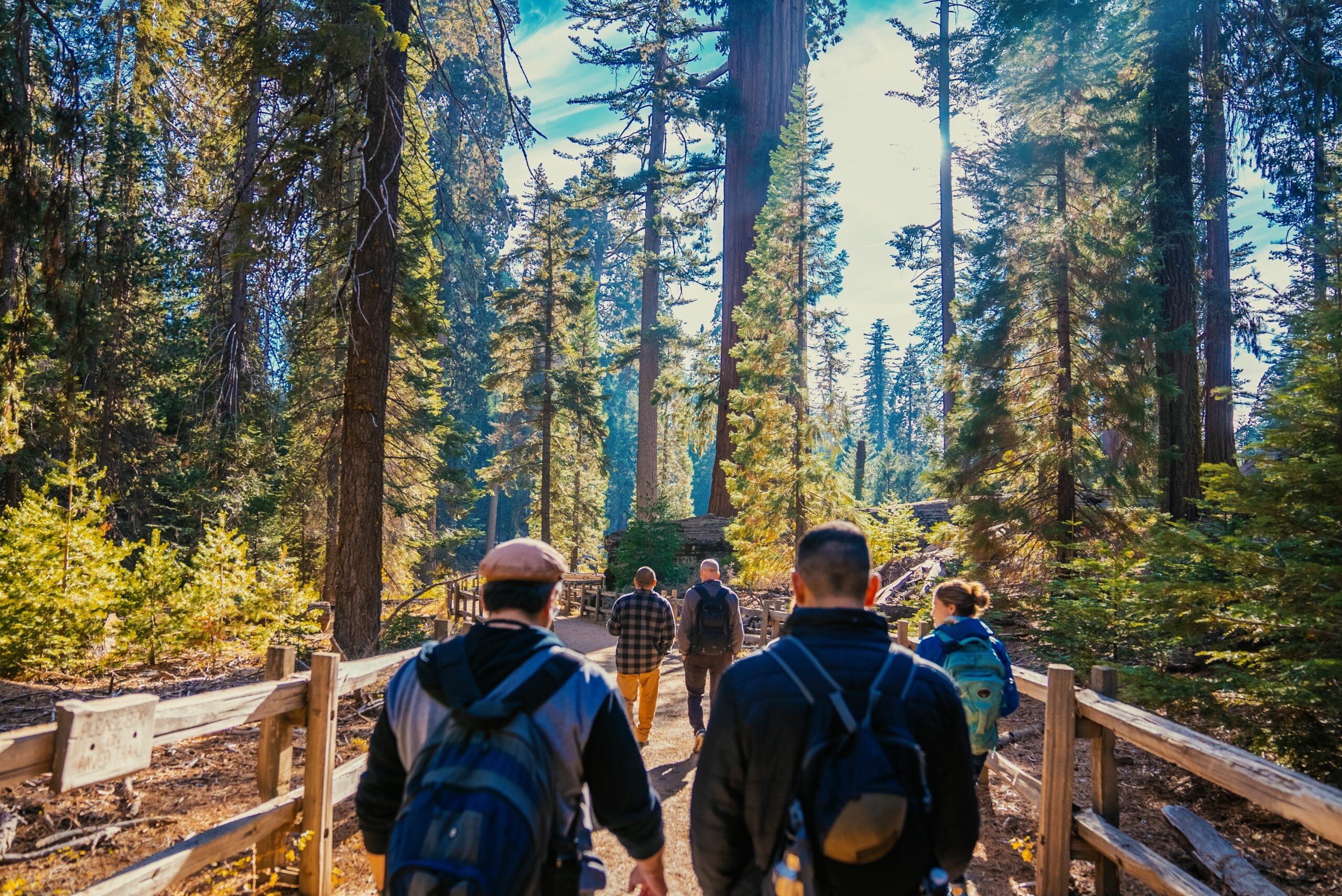 Yosemite and Giant Sequoias Day Tour from San Francisco — Yosemite Incredibleadventures Hikers Giant Sequoias Yosemite