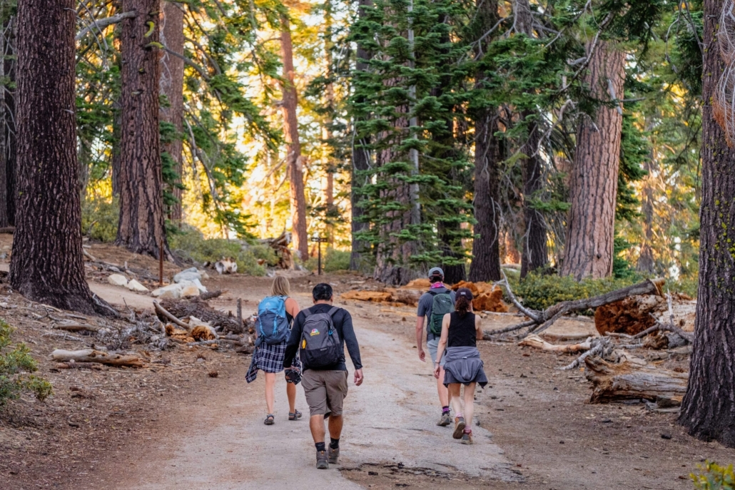Yosemite and Giant Sequoias Day Tour from San Francisco — Yosemite Incredibleadventures Hikers Path Giant Sequoias