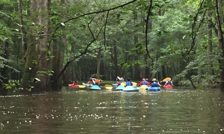 jkadventureguides_congaree-kayaking-group-paddling-off