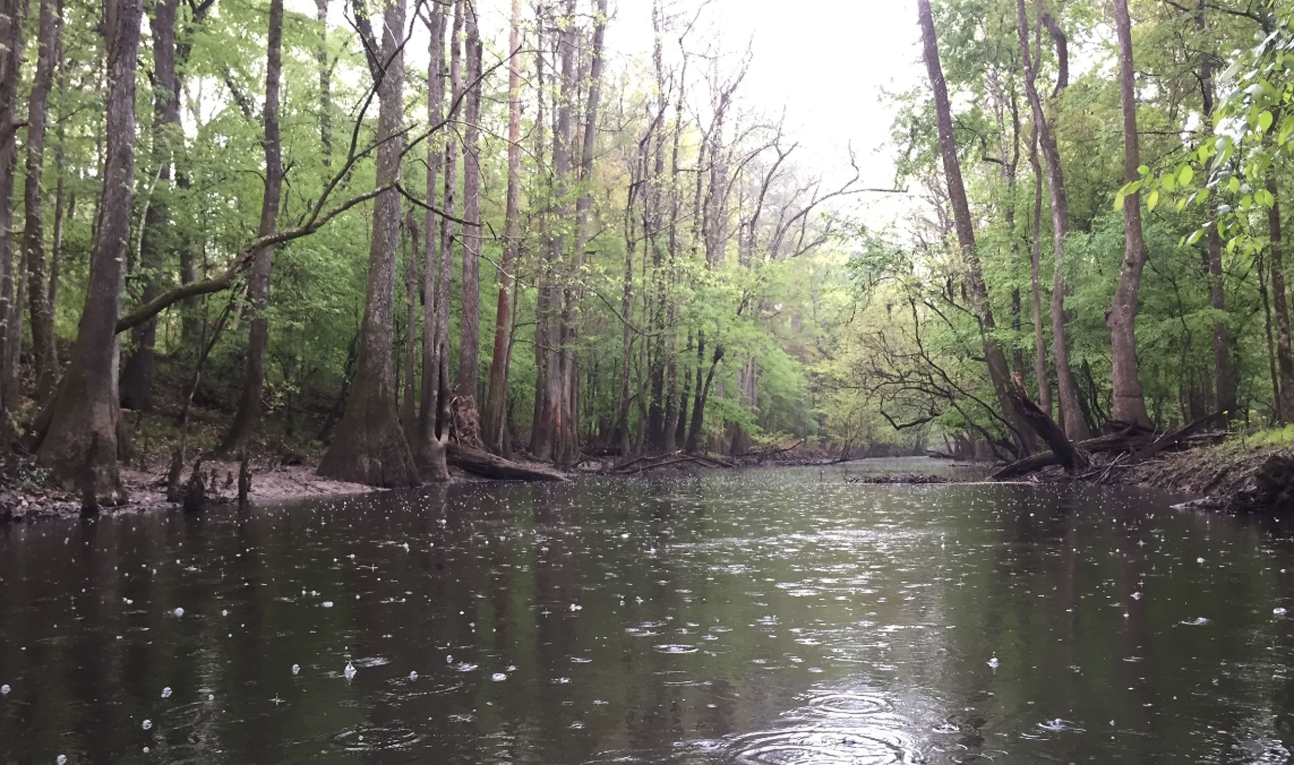 jkadventureguides_congaree-kayaking-raining-stream