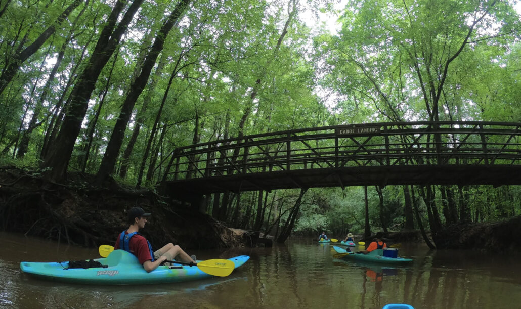 jkadventureguides_congaree-kayaking-under-a-bridge