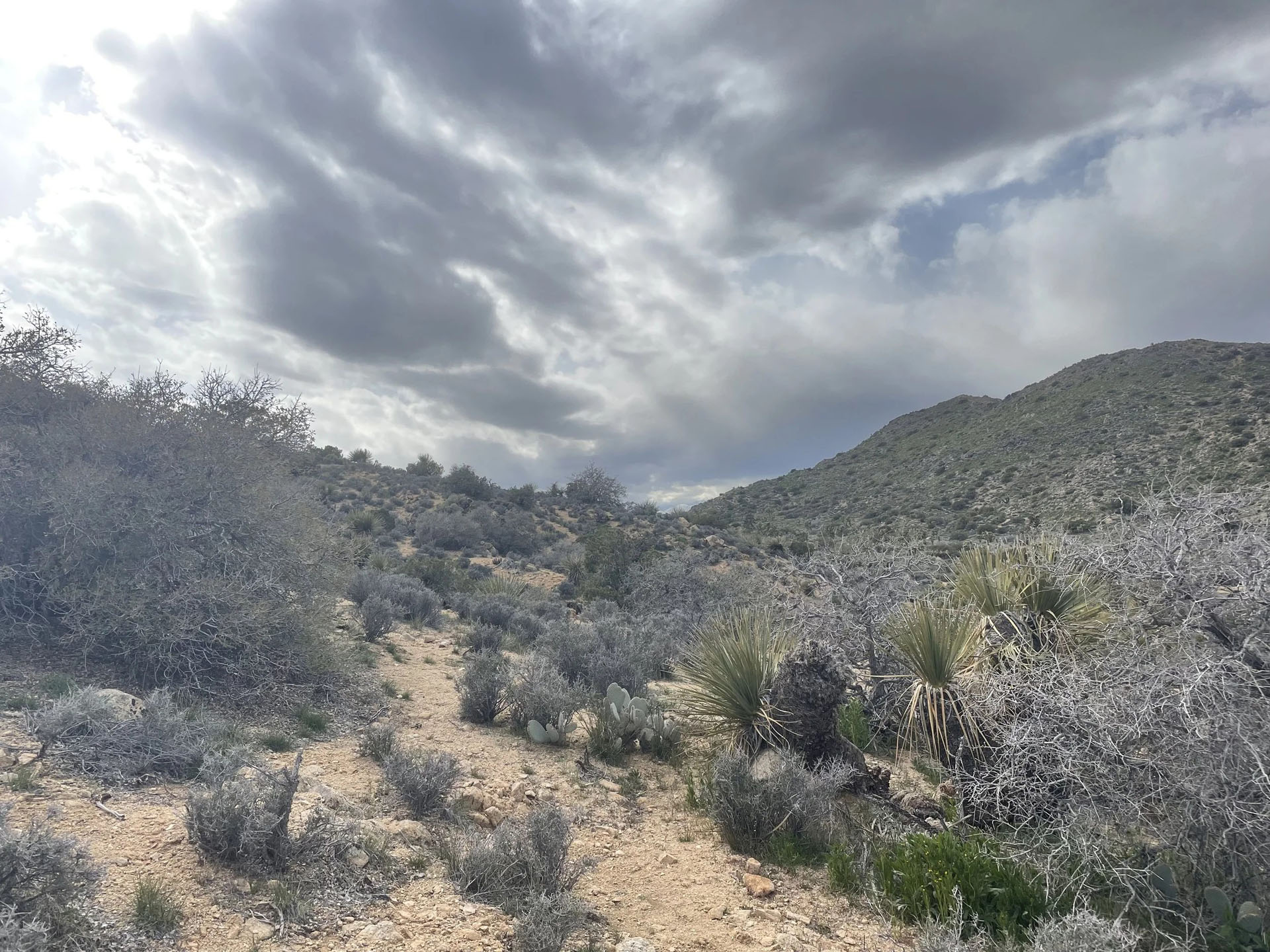 Joshuatreeconnectivity Cloudy Skies Above A Rocky