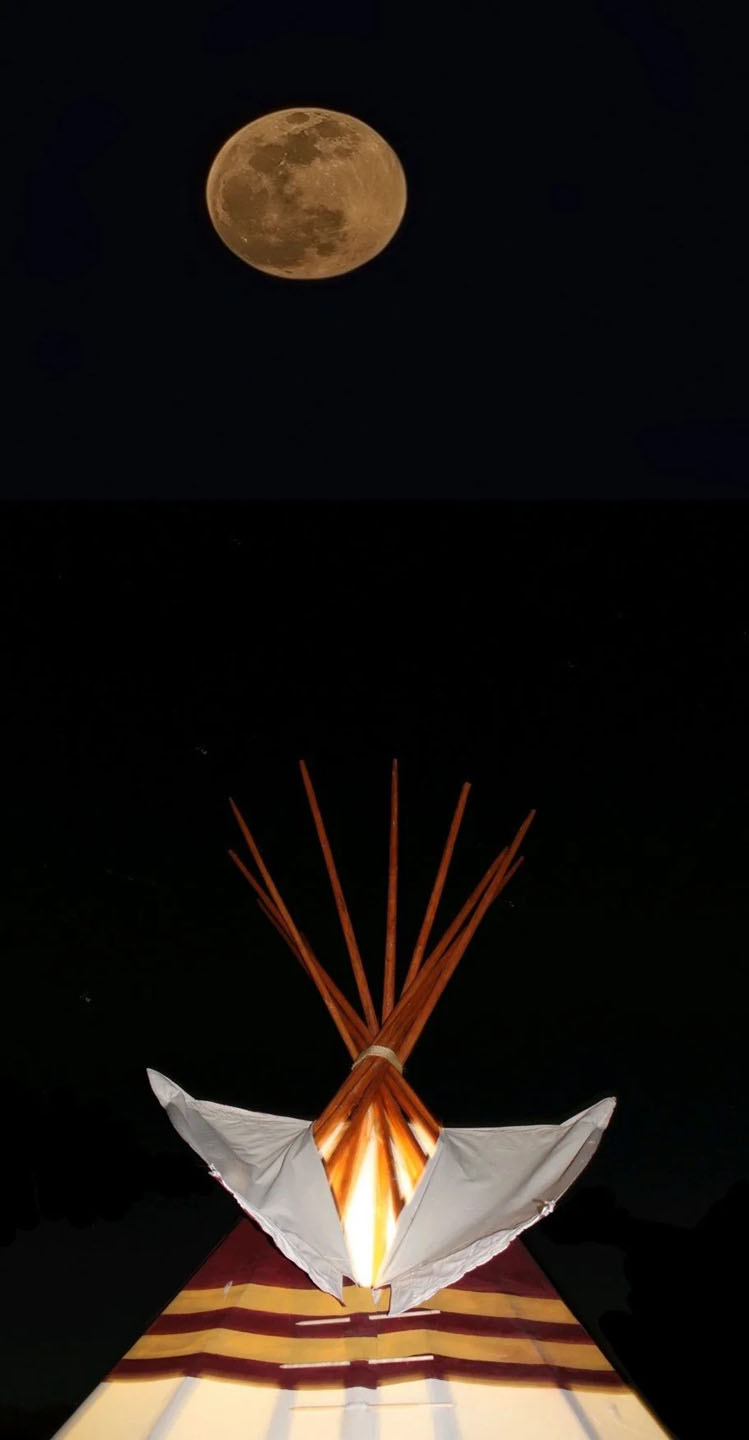 Joshuatreeconnectivity Full Moon Shining Over A