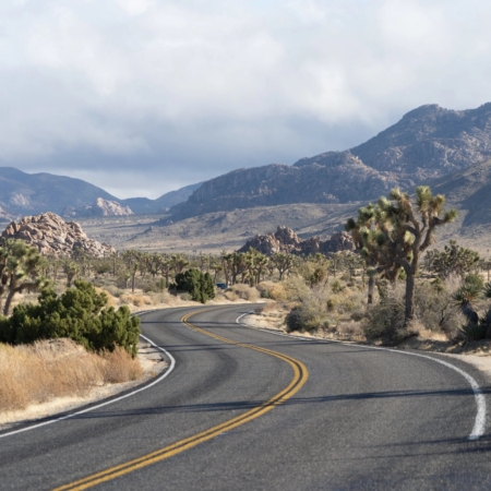Joshuatreeexcursions A Winding Road Through Desert