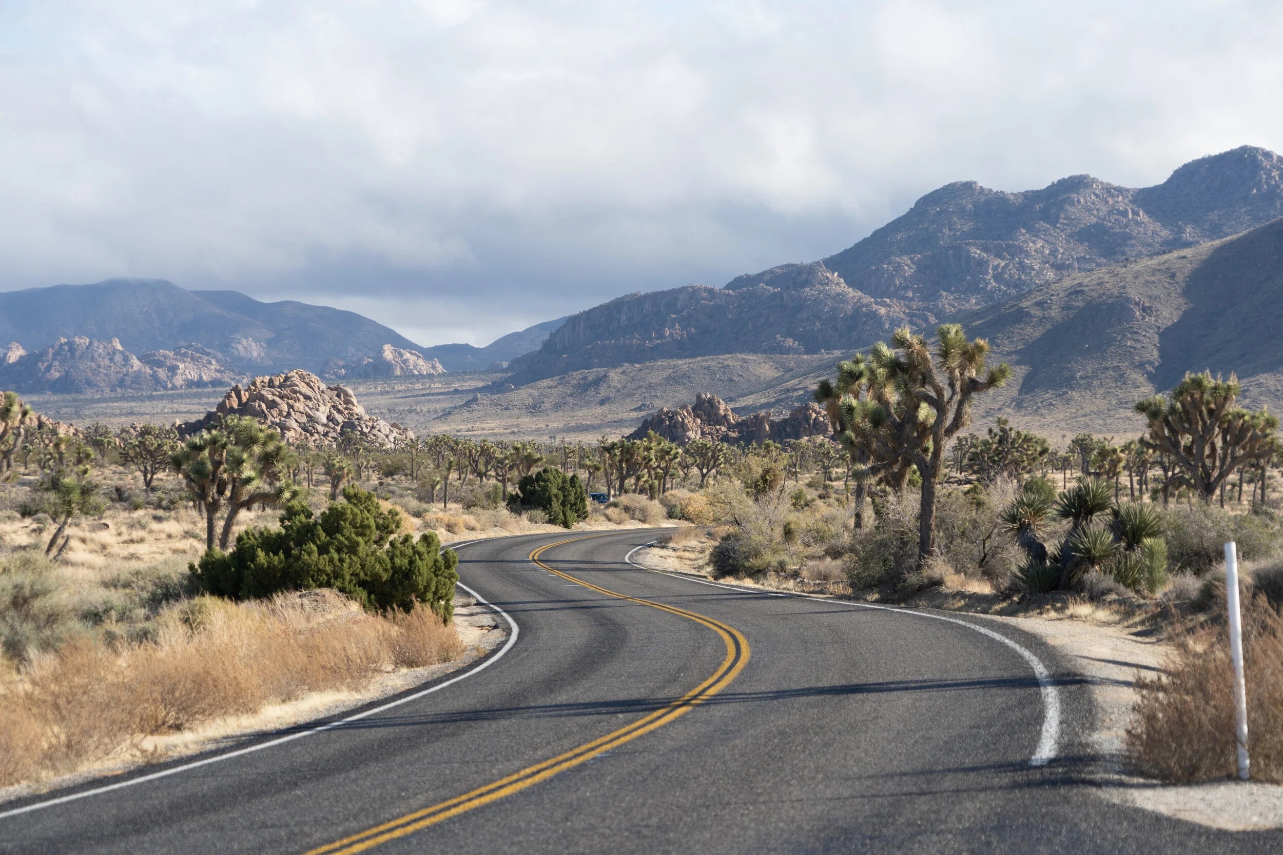 Joshuatreeexcursions A Winding Road Through Desert