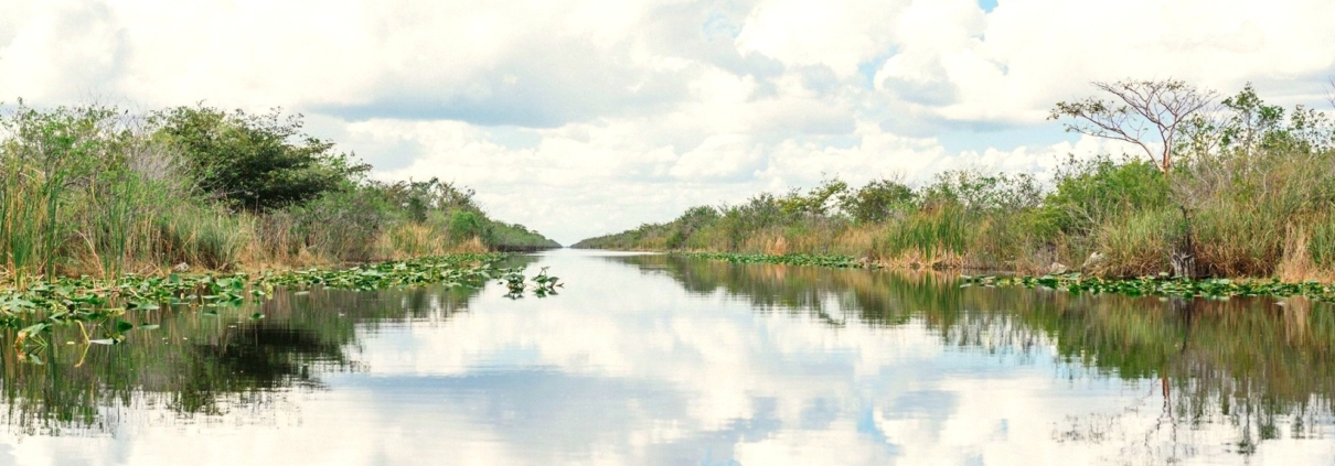 Miamitourcompany Everglades Sightseeing Florida