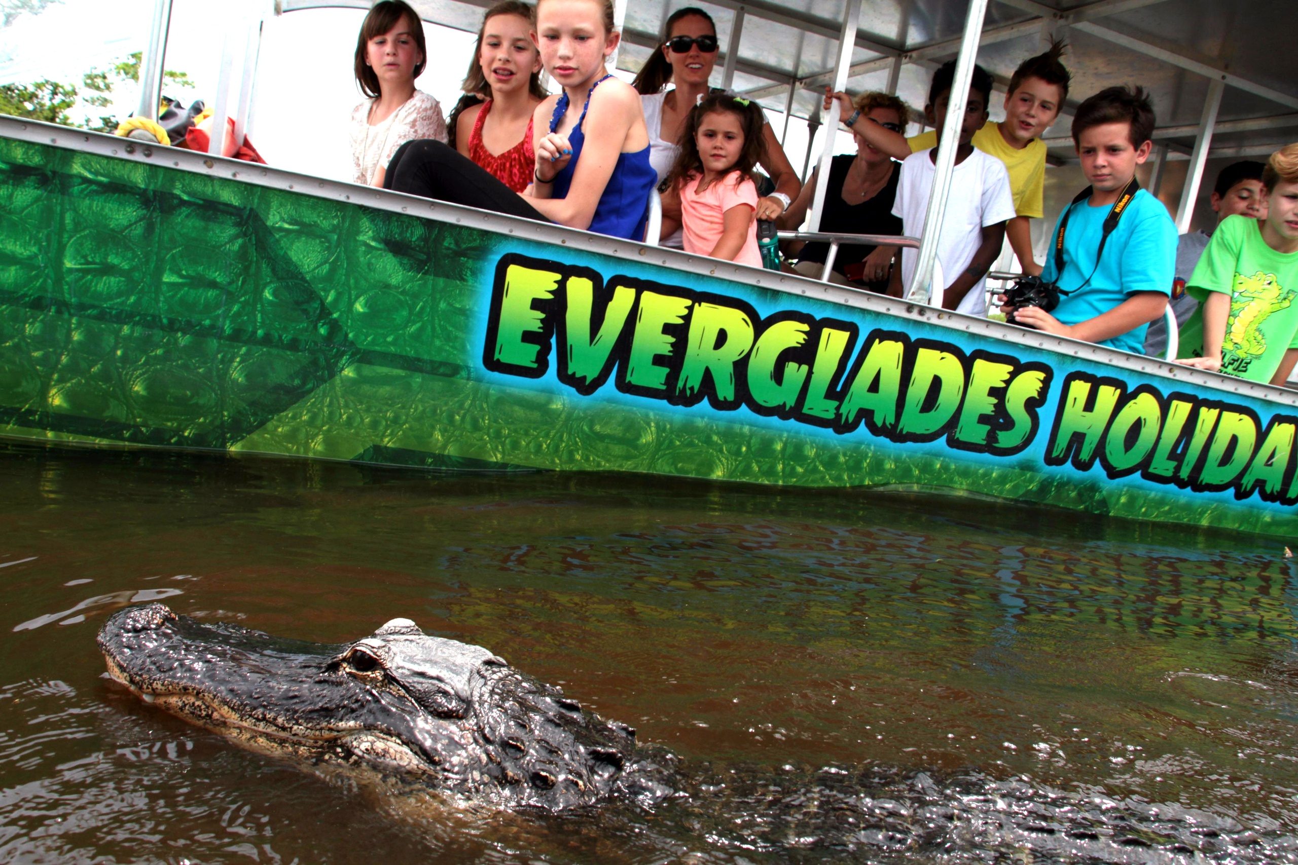 Miamitourcompany Xtwaqjramannhrcicz Everglades Sightseeing Florida