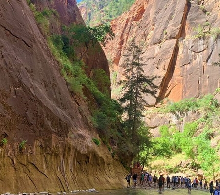 Mojavewavellc Hikers Navigating A River In