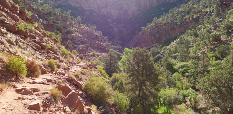 serene, canyon, landscape Mojavewavellc Serene Canyon Landscape