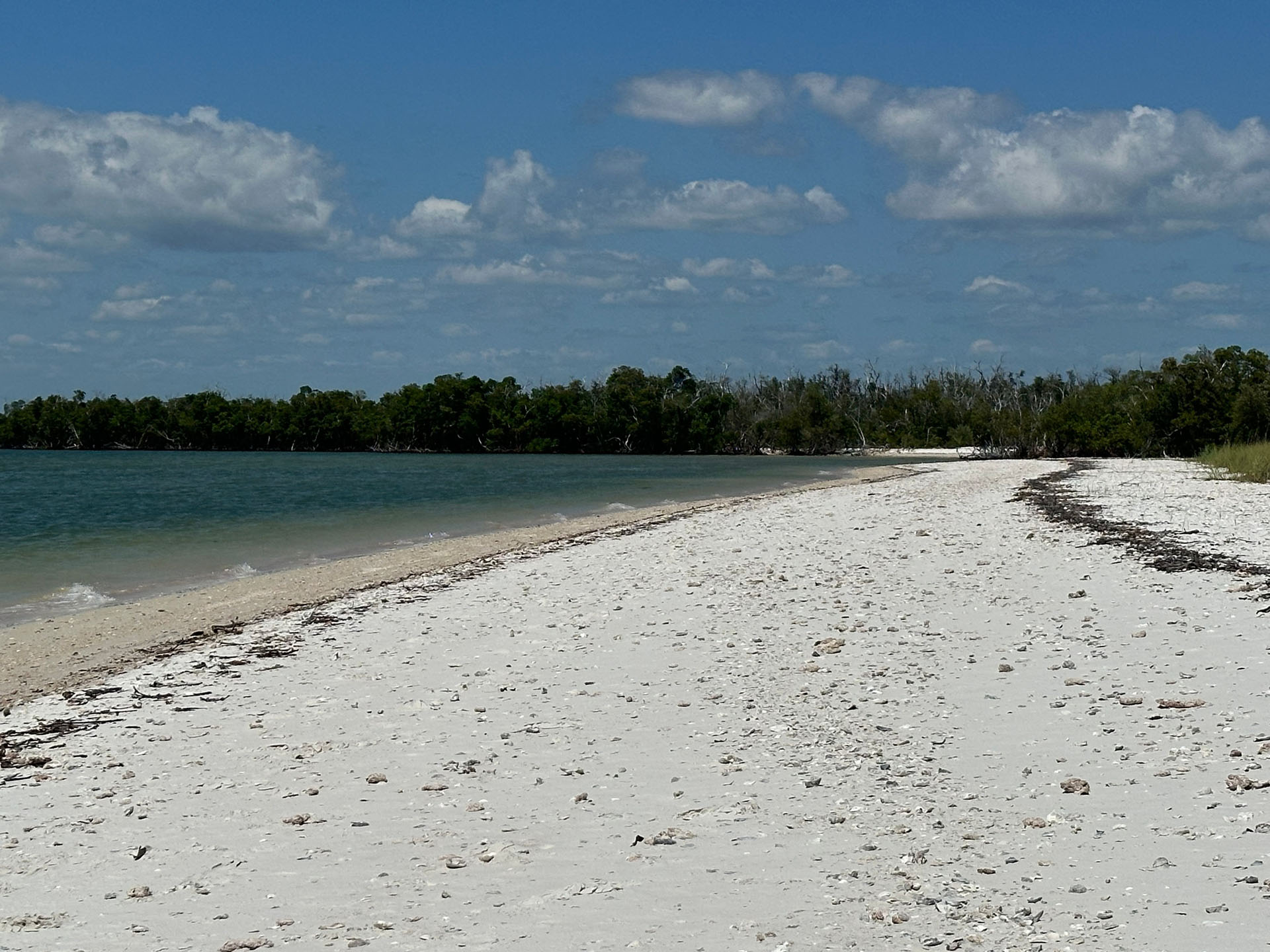 Everglades Pirate Adventure • Private — Everglades Naplesboatadventures Idfizmuxskxgvqczawk Everglades Boat Tour Florida