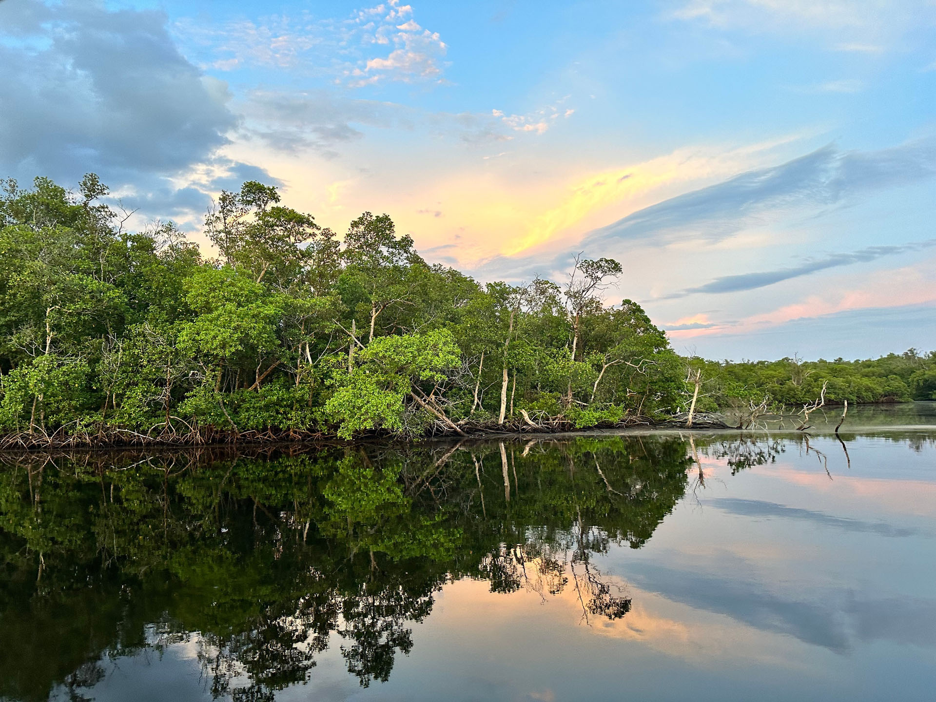 Everglades Pirate Adventure • Private — Everglades Naplesboatadventures Mangroves Reflection Sunset
