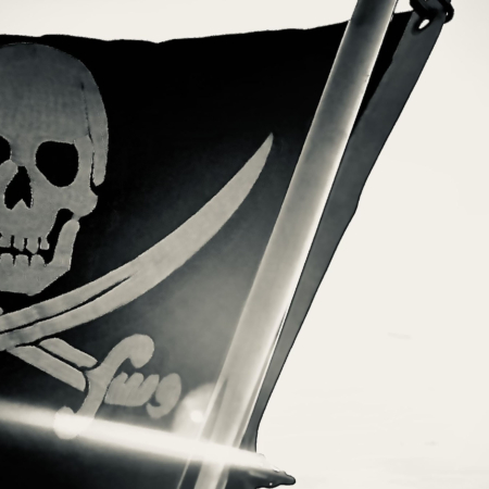 Naplesboatadventures Pirate Flag Skull Crossbones