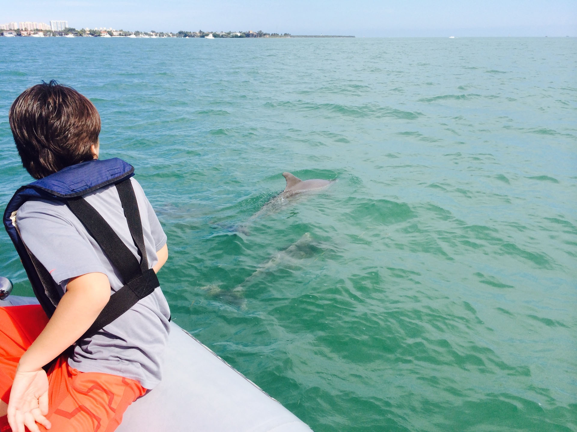 oceanforceadventures-Brandon Wild Dolphin 2014 Oceanforceadventures Brandon Wild Dolphin